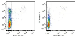 PE Annexin V 300 tests
