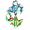 Pepsin 20 g