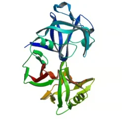 Pepsin 20 g