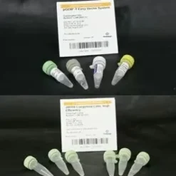 PGEM -T Easy Vector System II 20 reactions