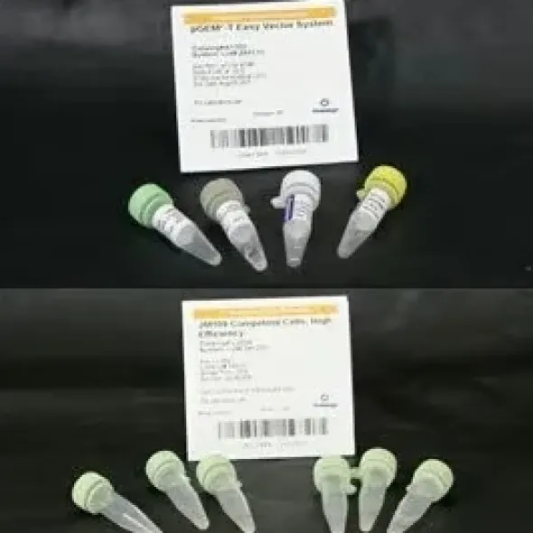 PGEM -T Easy Vector System II 20 reactions