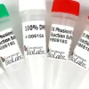 Phusion high-fidelity dna polymerase 100 unités