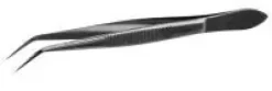 Pince brucelle courbée 200 mm
