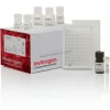 Pka (protein kinase a) colorimetric activity kit-96 tests