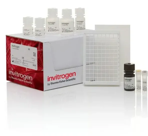 Pka (protein kinase a) colorimetric activity kit-96 tests