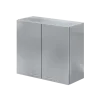 Placard mural - 2 portes- en inox 900 mm - dimensions: l.900 x p. 380 x h. 770 mm - hors montage