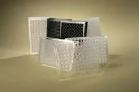 Plaque coatée neutravidine 96 puits noir x 5