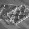 Plaque de culture cellulaire 6 Puits fond plat Surface ULA Ultra Low Attachment stérile avec couvercle x 24