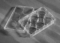 Plaque de culture cellulaire 6 Puits fond plat Surface ULA Ultra Low Attachment stérile avec couvercle x 24