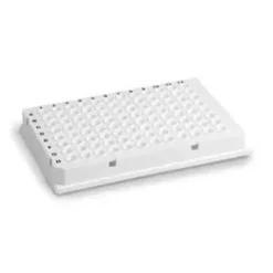 Plaque Hard-Shell 96-puits PCR blanc puits blanc shell x 50