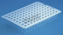 Plaque PCR 96 puits THERMO-fast sans jupe naturel x 25