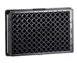 Plaque PP fond plat noir x 100