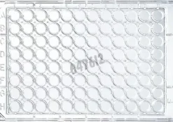 Plaque 96 puits transparente fond plat immulon 4hbThermoscientific x 50