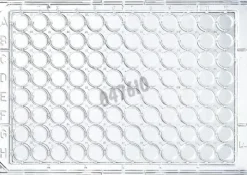 Plaque 96 puits transparente fond plat immulon 2hb THERMO x 50