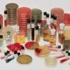 Plate chromagar candida x 20 pièces