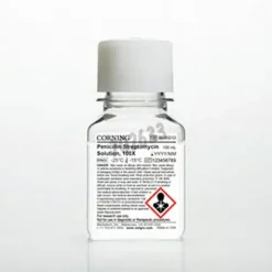 Pénicilline/Streptomycine en solution 100X 100mL 6 bouteilles