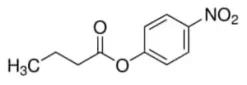 P-nitrophenyl butyrate 5 g