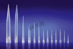Pointe Finntip 200 µl filtre stérile rack 96x10Thermoscientific