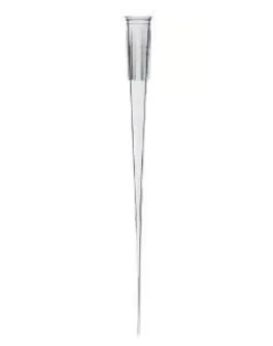 Pointe pour chargement de gel pointe ronde, dia 0.57 mm x 576