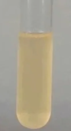 Potato dextrose broth microbiologically 250 g