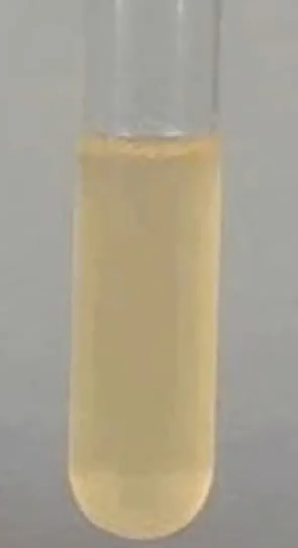 Potato dextrose broth microbiologically 250 g