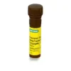 Precision Protein Streptactin-HRP 0.125 ml