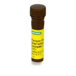 Precision Protein Streptactin-HRP 0.125 ml
