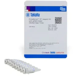 Primescript rt reagent kit with gadn eraser (perfect real time) 100 Réactions