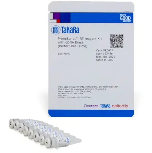 Primescript rt reagent kit with gadn eraser (perfect real time) 100 Réactions