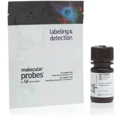 Prolong diamond antifade mountant-10 ml