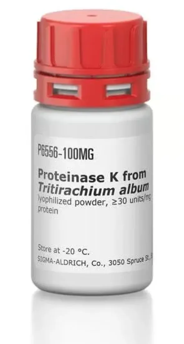 Proteinase k from tritrachium album 500 mg