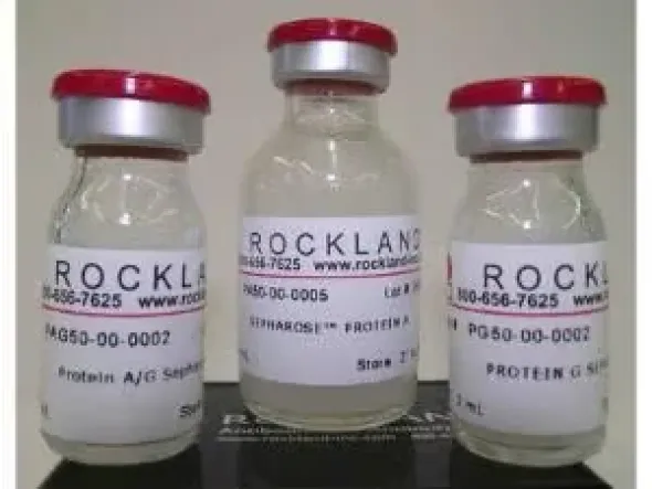 PROTEIN A SEPHAROSE 5 mL