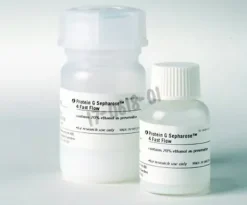 Protein g sepharose 4 fast flow 5 mL
