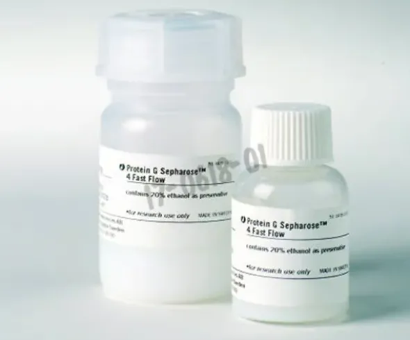 Protein g sepharose 4 fast flow 5 mL