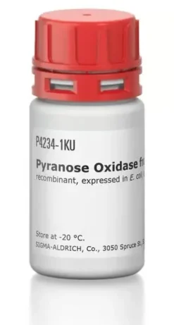 Pyranose oxidase from coriolus sp. 1 KU
