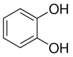 Pyrocatechol sup à=99% 100 g