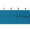 Qentix western blot signal 500 ml