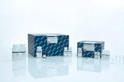 QIAamp DNA Mini Kit (250)