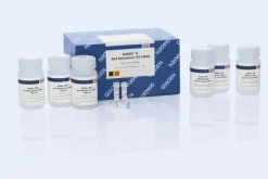 QIAEX II Gel Extraction Kit (500)