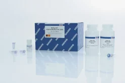 QIAquick PCR Purification Kit (250)