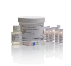 Quant-it picogreen dsdna assay kit- 10x100 µl