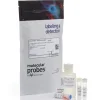 Qubit microrna assay kit- 100 réactions