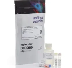 Qubit microrna assay kit- 100 réactions