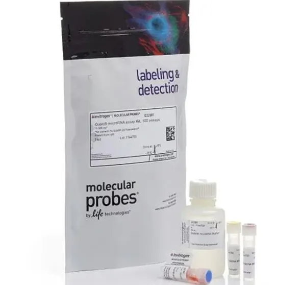 Qubit microrna assay kit- 100 réactions