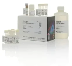 Qubit rna br assay kit- 500 réactions