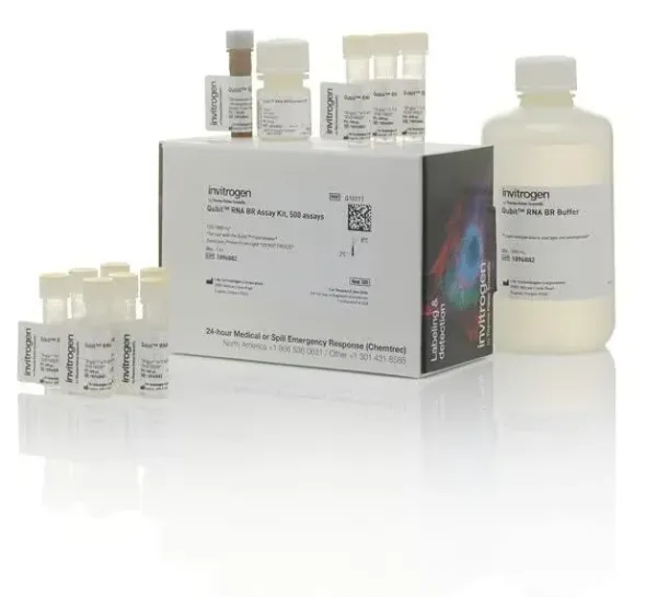Qubit rna br assay kit- 500 réactions