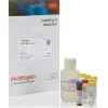 Qubit rna xr assay kit- 100 réactions