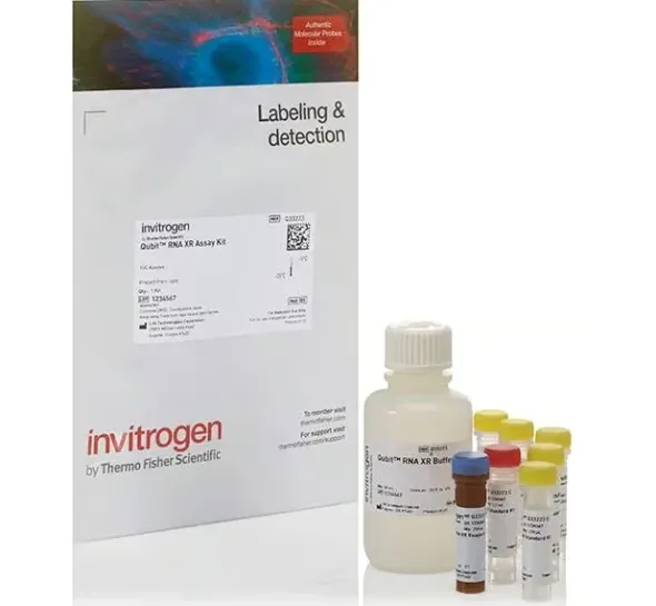 Qubit rna xr assay kit- 100 réactions