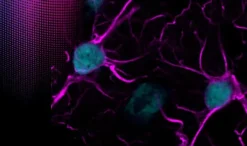 Quencher trueblack lipofuscin autofluorescence 20x in dmf 1 ml