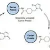 Réactif imject mâleimide mariculture 2 mg